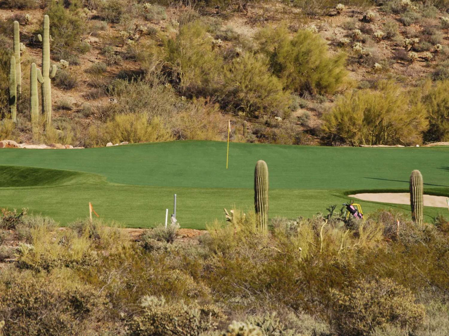 PROJECT HIGHLIGHT: Phoenix Backyard Golf Retreat